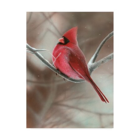 Trademark Fine Art